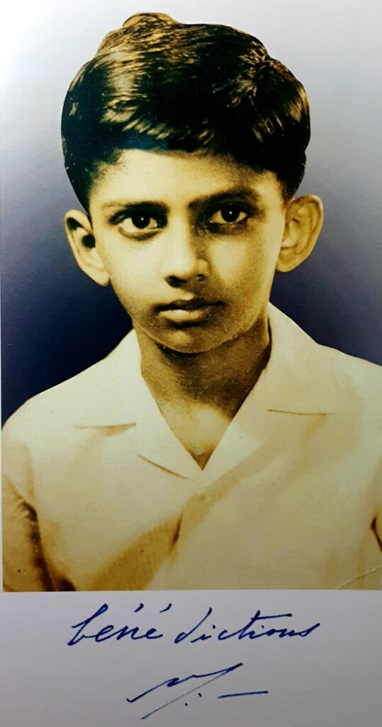 100889016 252510305829286 2908840981459632128 N