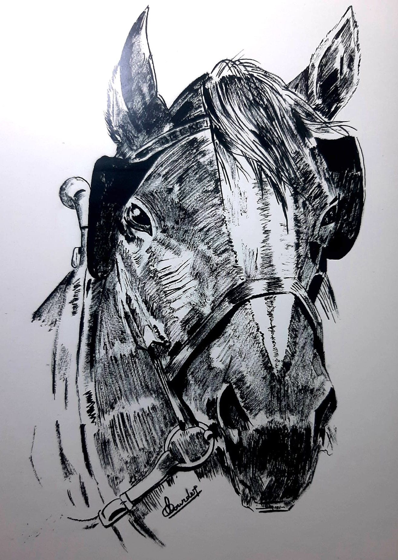 116803883 291000205313629 4675156725681317652 N