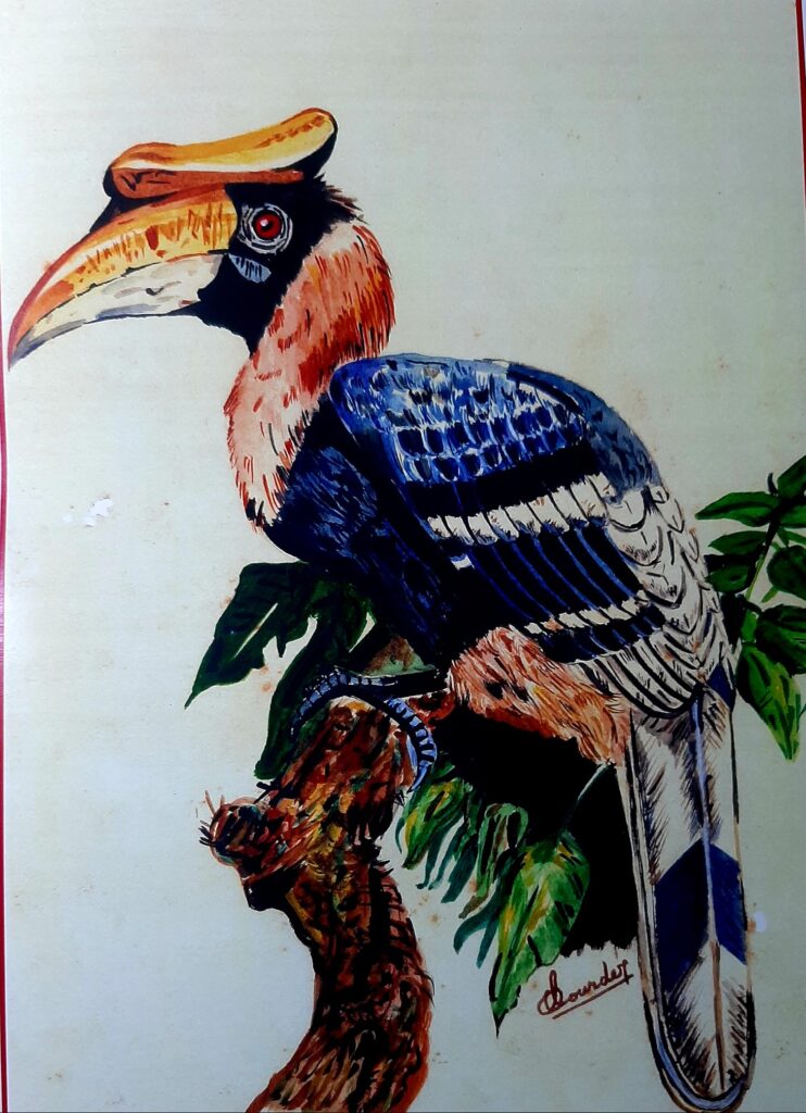 120139881 330895344657448 1113355225959984778 N