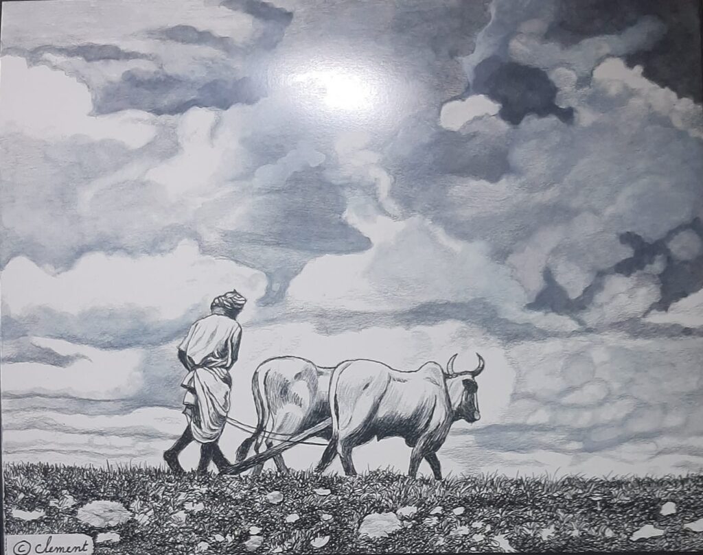 231409334 511148086632172 3873070147851069528 N