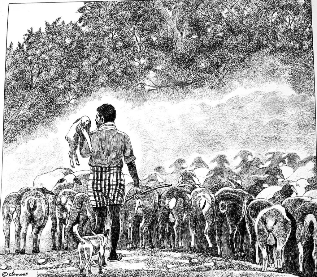 240520480 542731310140516 3813415216204660186 N