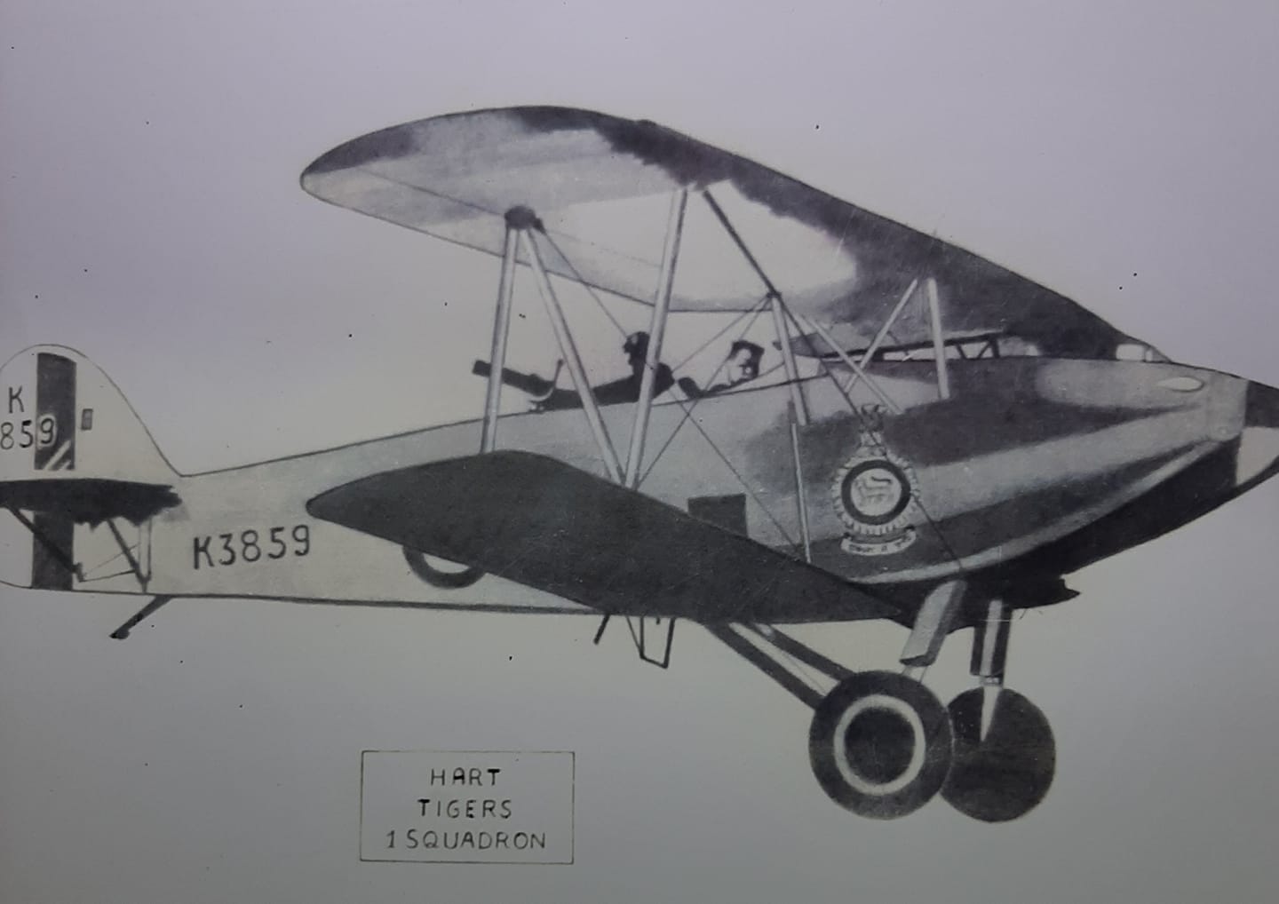 98361766 245146529898997 2155540233553182720 N